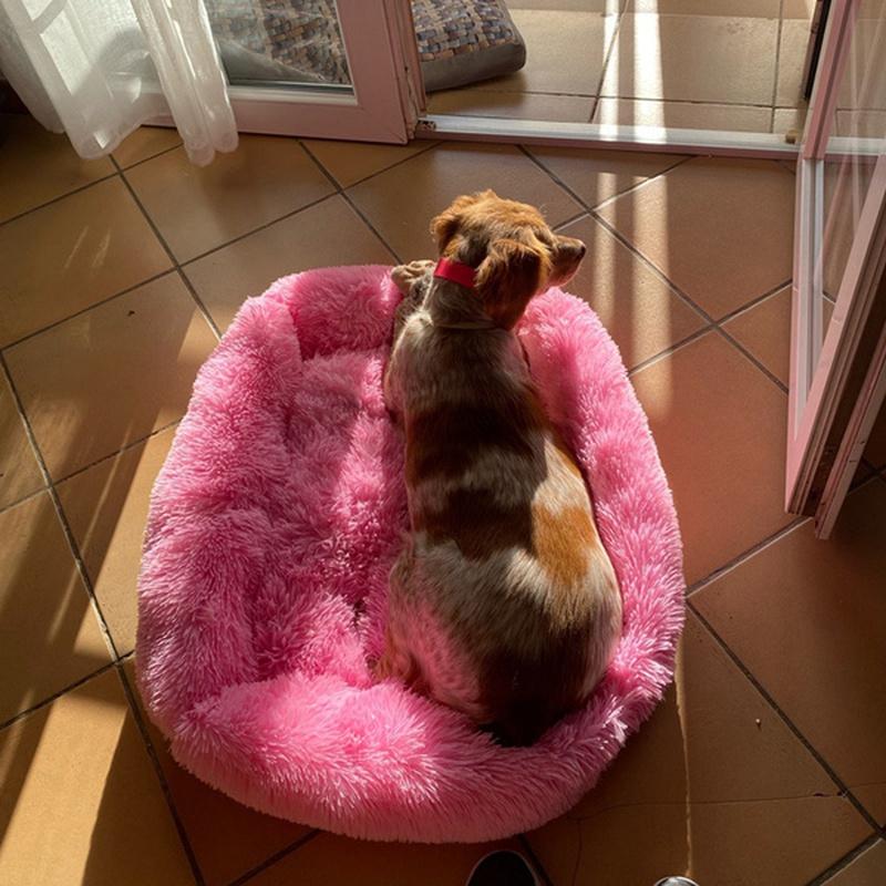 Comodo divano letto in peluche per animali domestici, letto per cani e Comodo divano letto in peluche per animali domestici, letto per cani e