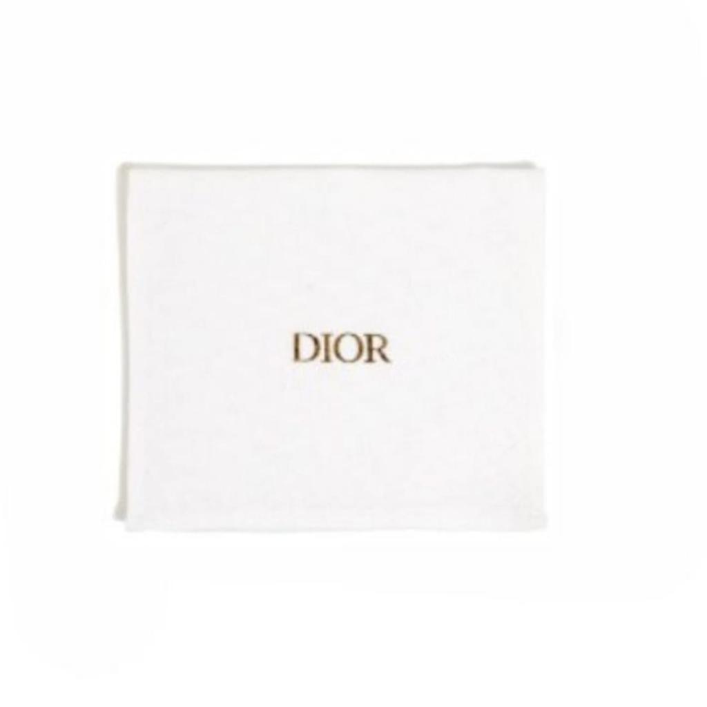 Dior Refined Silver Gray Earrings Women's E1941TRICY-D03S