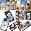 Handyhülle für Xiaomi Poco X7 X6 X5 F7 F6 F8 Ultra F5 M6 M7 M8 Pro C85 C75 C65 C71 C61 Hülle Bichon Frisé Zwergspitz Hund Gehäuse