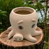 Handmade Succulent Flower Pot Cute Planter Pots Flower Container Octopus Flowerpot  Kitchen