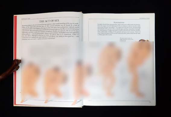 [USED] The ultimate sex book