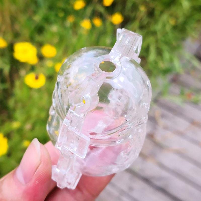 

Плесень Выращивание Фрукты Огурцы Формирование Плесени Рост Арбуз Овощ Плесень