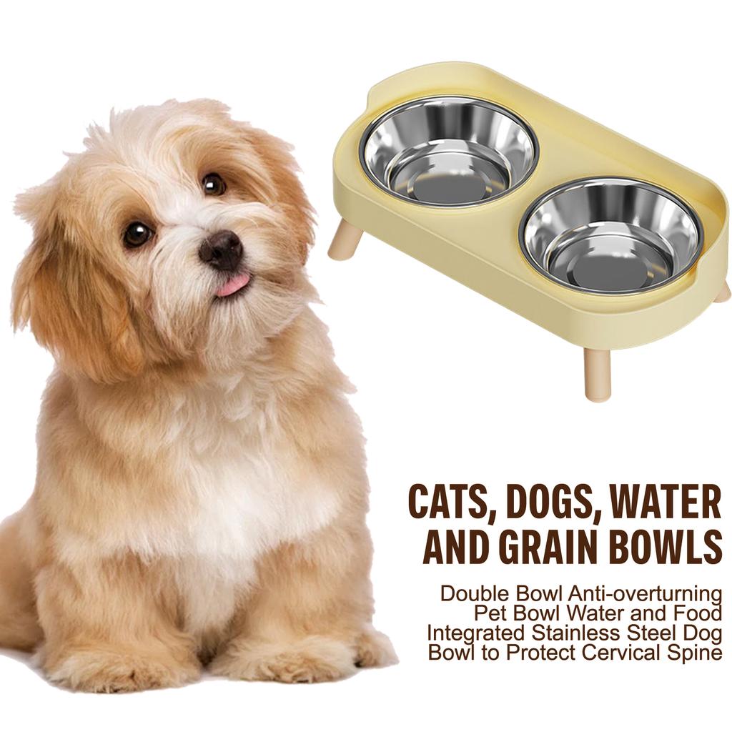 Stainless Steel Anti-Slip Cervical Protect Dual Bowl Pet Food Feeder for Cats and Dogs with Elevated Design