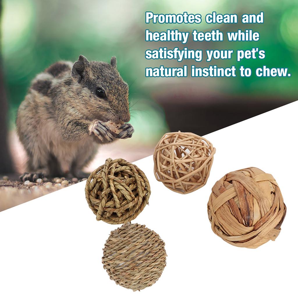4Pcs Small Animal Activity Toy Pets Chew Balls Bunny Rabbits Guinea Pigs Gerbils