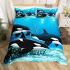 Erosebridal Football Comforter Cover, Hand Drawn Sketch Soccer Flag Network Team Sports Duvet Cover for Boys Teens Men, Decorative 2 Piecce