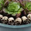 Synthetic Resin Skull Ornaments Halloweens Tabletop Decoration Set with Skeleton Figures