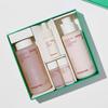 Innisfree Neues Black Tea Youth Enhancing Hautpflege-Set AUTHENTISCHER SHOP