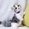 Pink Breakaway Cat Collar with Bells, 2 Pack Break Away Kitten Collar with Bells, Female Cat Collar for Girl Cats Kitty
