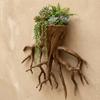 Decorative Hanging Flower Pot Tree Root Shape Plant Container Wall Decoration  Office Decor