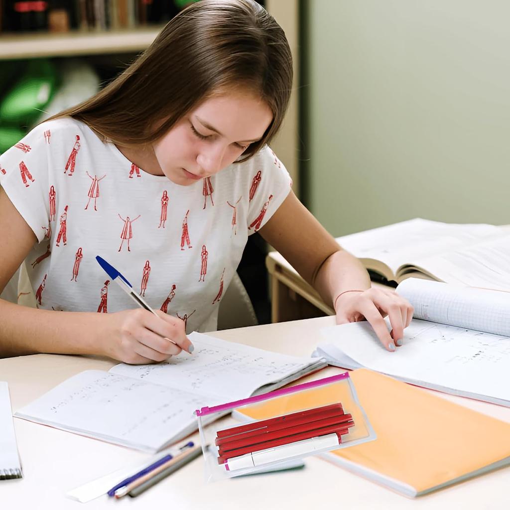 10 Pack Plastic Envelopes Pencil Pouch,Clear Pencil Bags with Zipper,10 Colors with Label Reble Pencil Pouches for Office Supplies (A-Multicolor)