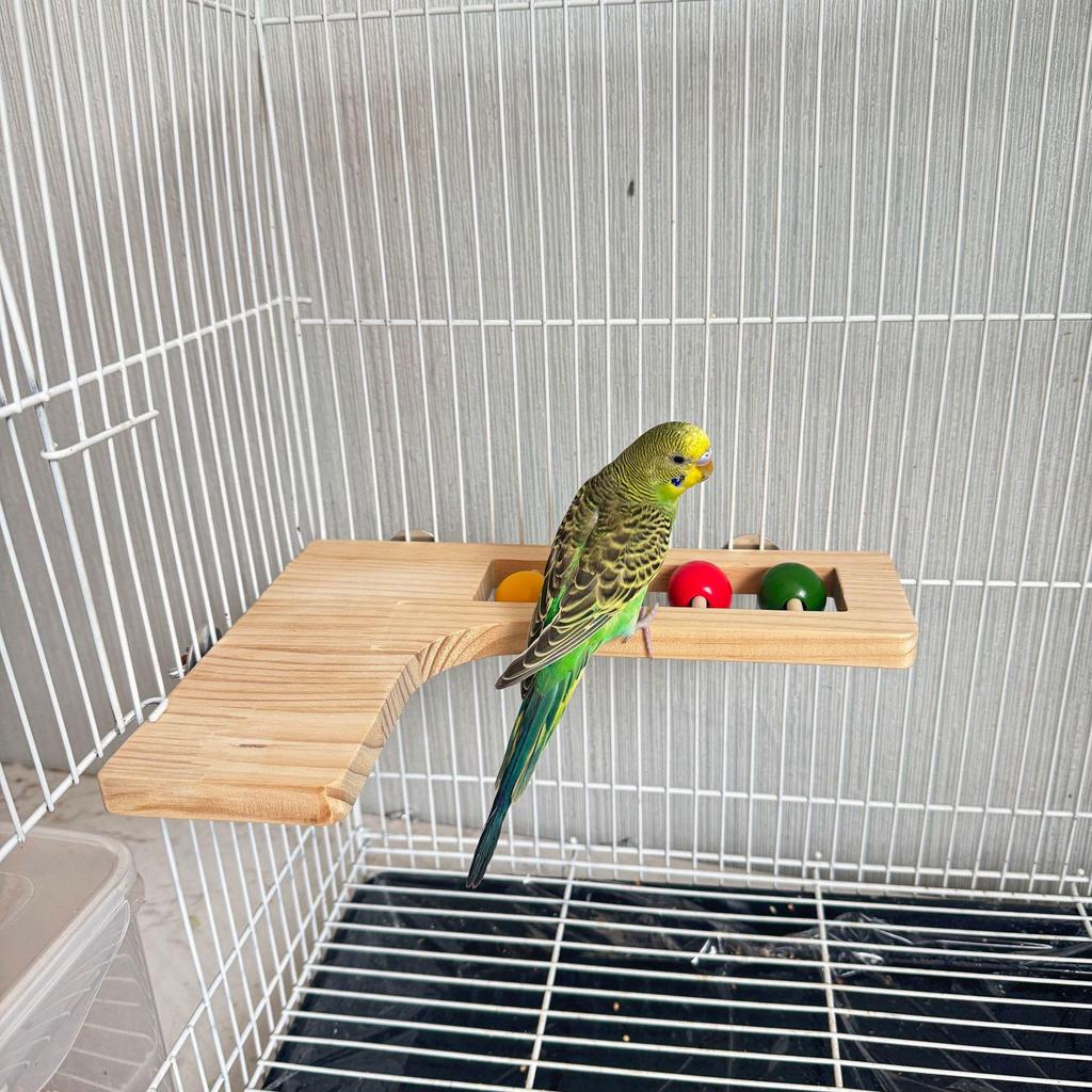 Ny L-formad fågelburspade i trä: Interaktiv Klätter- och Gnagleksak för Undulater