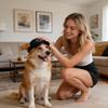 Hond Buiten Zonnehoed Baseballpet, Veelzijdige Huisdier Hoed, Katten Hoed, Koreaanse Leuke Corgi En Teddy Huisdier Hoed