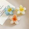 Frangipani Flower Hair Claw: Retro European & American Colorful Clip for Women