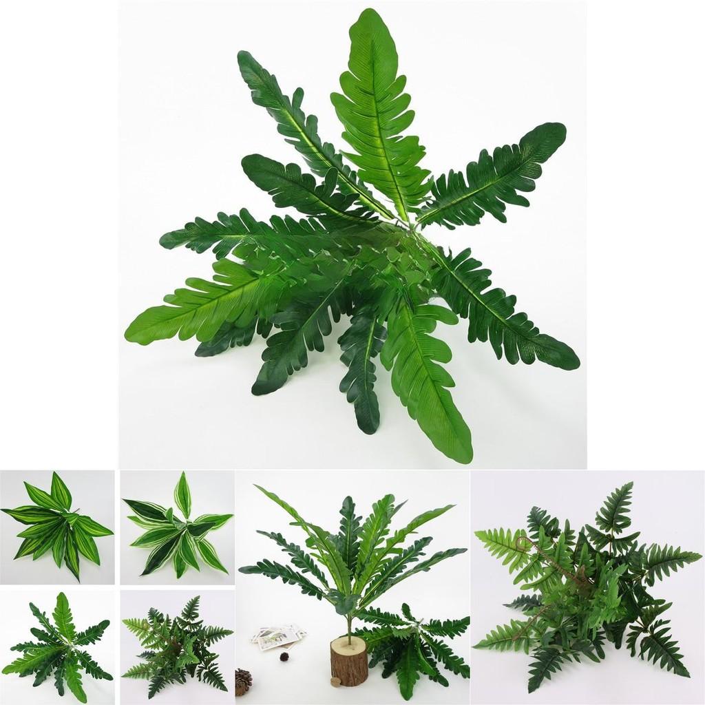 Dracaenafragrans And Pteridophyta Leaf Faux Fern Leaf For Indoor Plant Display