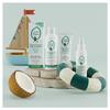 Shampoing cheveux normaux - Shampoing 2en1 anti-poux - Mulato