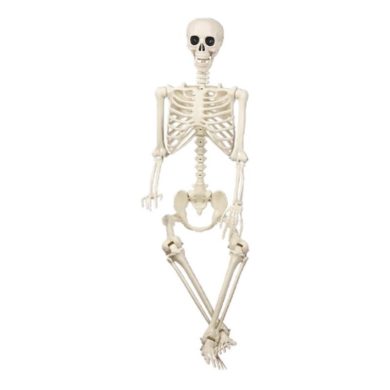 Realistische Ganzkörper-Menschenknochen Halloween-Requisiten Flexible Gelenke Tragbarer Kunststoff Innen-Außen-Dekoration