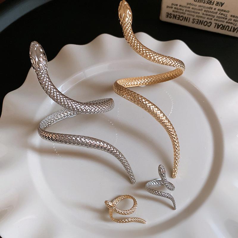 Neuer Eingang Schlangenförmiges Armreif-Ring-Set für Damen Übertrieben Metall Einzigartiges Design Armband Mode Schmuckset