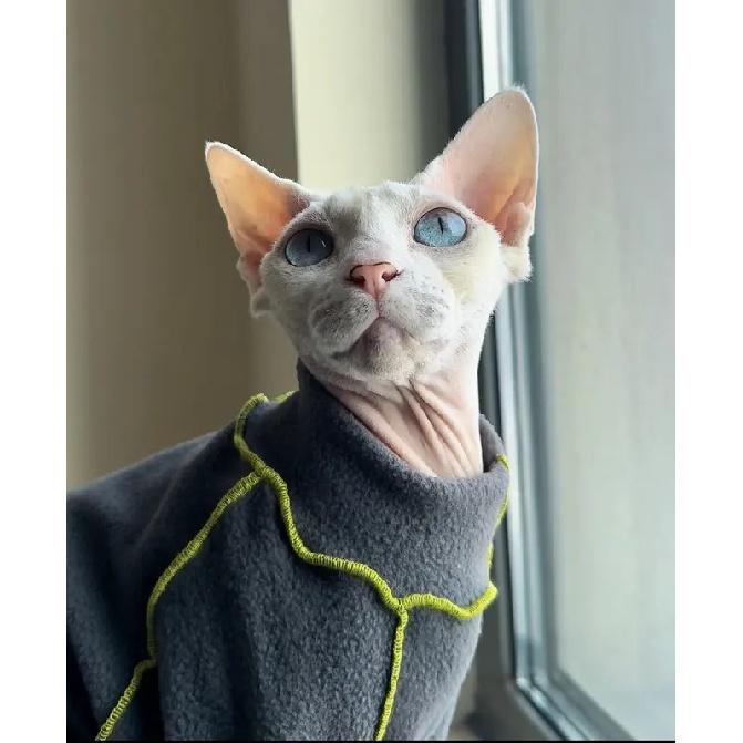 Grey Fleece Long Sleeves Coat for Sphinx Cat In Winter Spring Soft Stain-resistant Coat for Hairless Cat Loungewear for Kittens