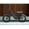Doppelmotor Elektrofahrrad Herren eAhora Romeo II, Doppelmotor 1250W, Abnehmbarer Akku 52V 60AH, Fat Tire 20×4,5, Max 65km/h