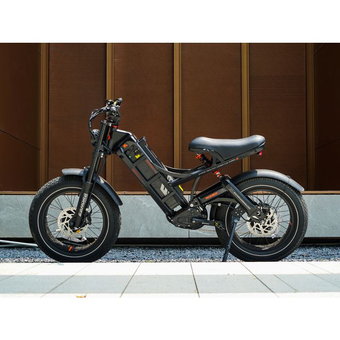 Doppelmotor Elektrofahrrad Herren eAhora Romeo II, Doppelmotor 1250W, Abnehmbarer Akku 52V 60AH, Fat Tire 20×4,5, Max 65km/h