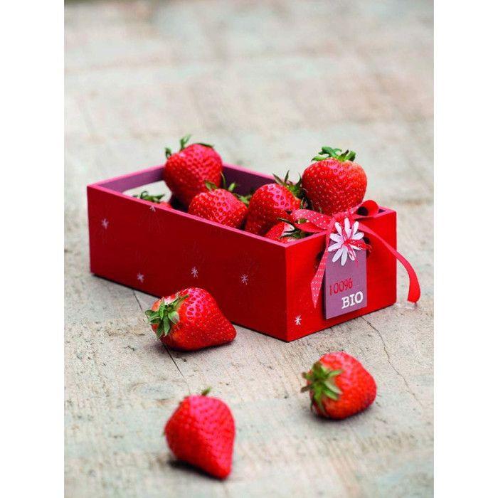 Storage Boxes - ARTEMIO - 3 Pieces - Raw Wood - Beige - Mixed