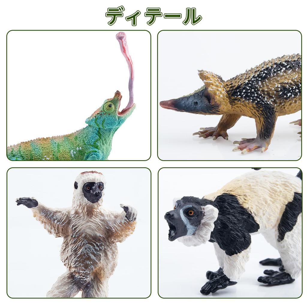 TOYMANY Madagascar Animal Figures, 12-Piece Hand-Painted Educational Set