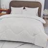 Thickened Warm Duvet Insert