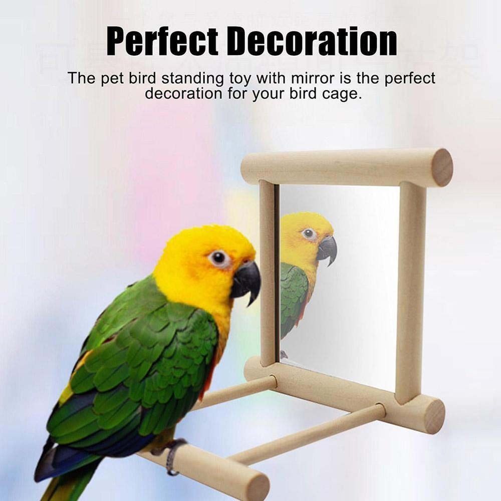 Parrot Parakeets Bird  Supplies Parrot Standing Swing Cockatiel Mirror Stand Bird Perch Mirror Toy