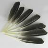 50Pcsdiy Jewelry Accessories Feather Diy Feather Headdress Corsage Hat Shoes Handicrafts Decorative Materials