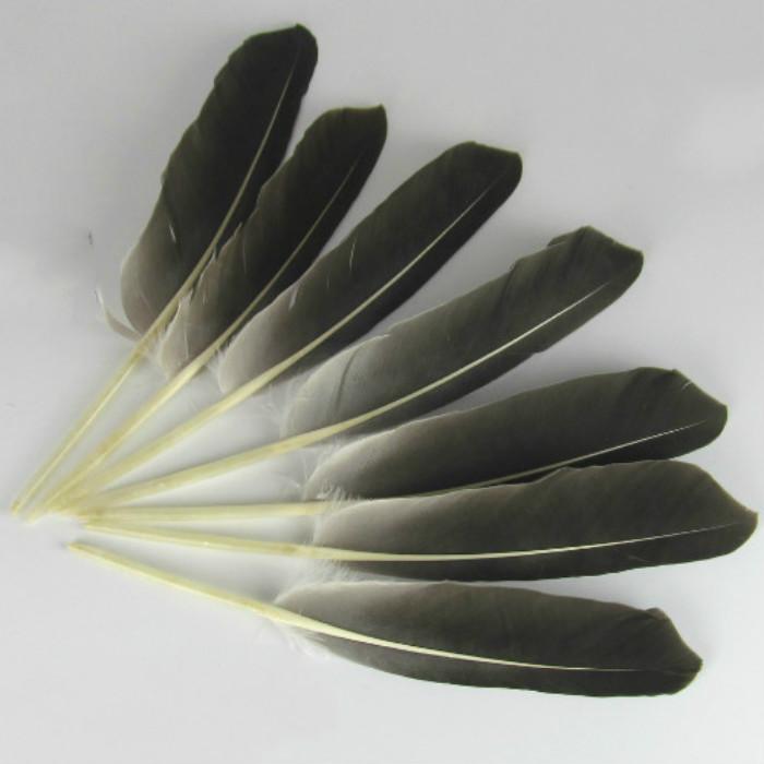 50Pcsdiy Jewelry Accessories Feather Diy Feather Headdress Corsage Hat Shoes Handicrafts Decorative Materials