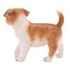Best Of Breed Resin Jack Russell Puppy - 18cm