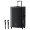 Newmine N538 15-inch Portable Karaoke Bluetooth Speaker (CN Version)