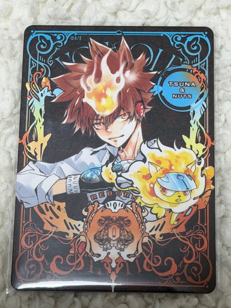 

[Б/У] Савада Цунаёси Ограниченный выпуск Jump Festa Бонус к манге Настольная игра REBORN
