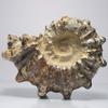 Accesorii pentru decor – Produse din metal