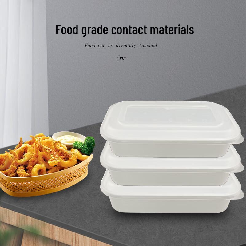 Disposable Rectangular Food Container