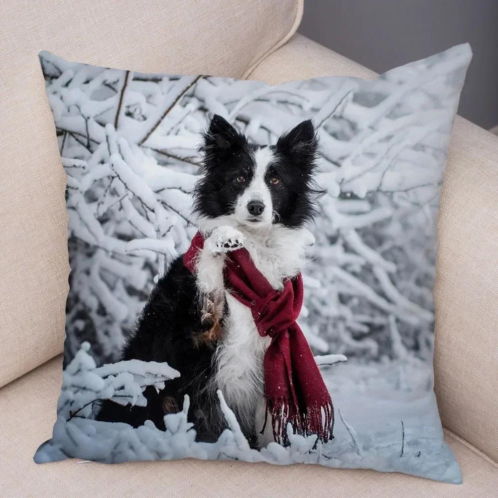 Cute Scottish Border Collie Pillowcase Dog Print Decor Pet Animal Cushion Cover Sofa