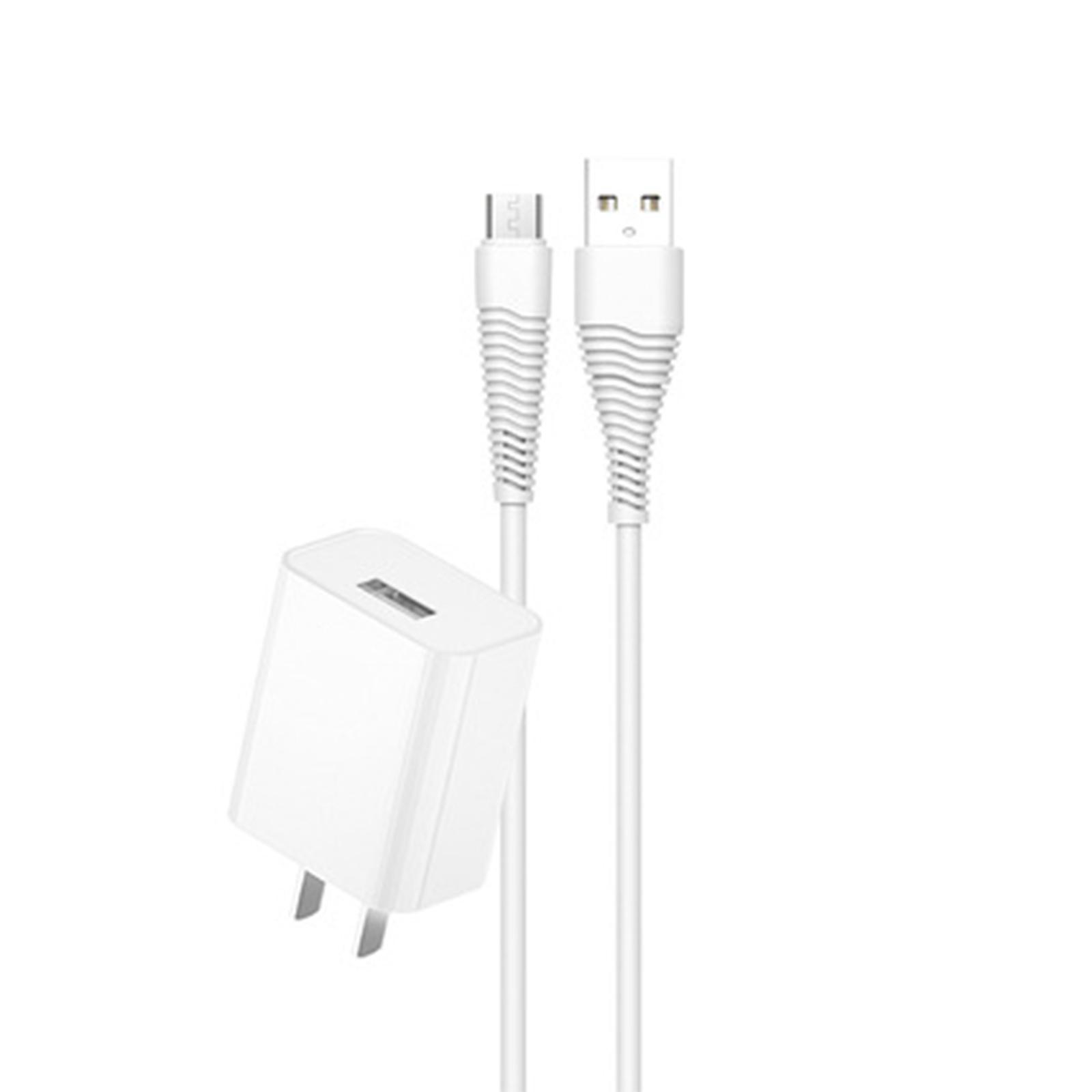 

AC100-240V USB C/Micro USB Power Cable Fast Charging Cord Wire with 2Pin Flat Power Adapter for Type C/Micro USB Device B