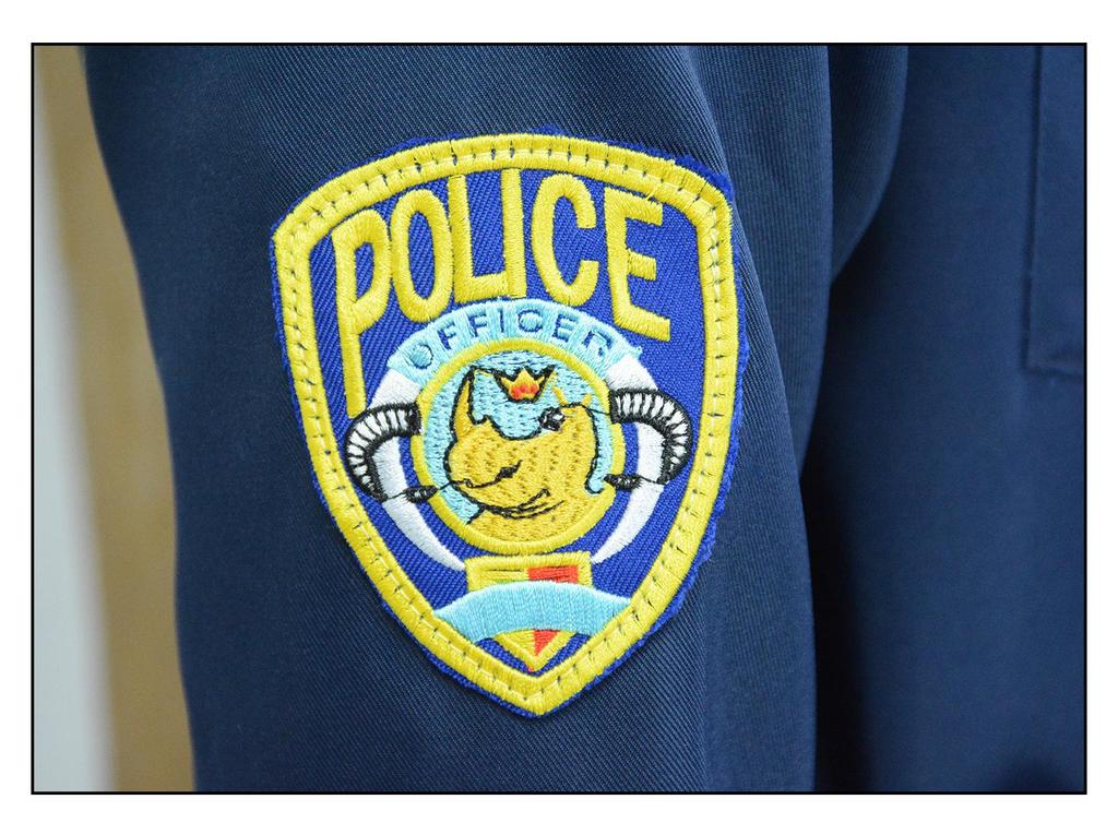 Zootopia Judy Rabbit & Nick Fox Police Officer Cosplay Costumes for Halloween