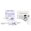 22 Pcs Silver Color Design Earring Sets For Women Butterfly Square Geometry Pearl Tassel Drop Earrings Fashion Jewelry Gifts New