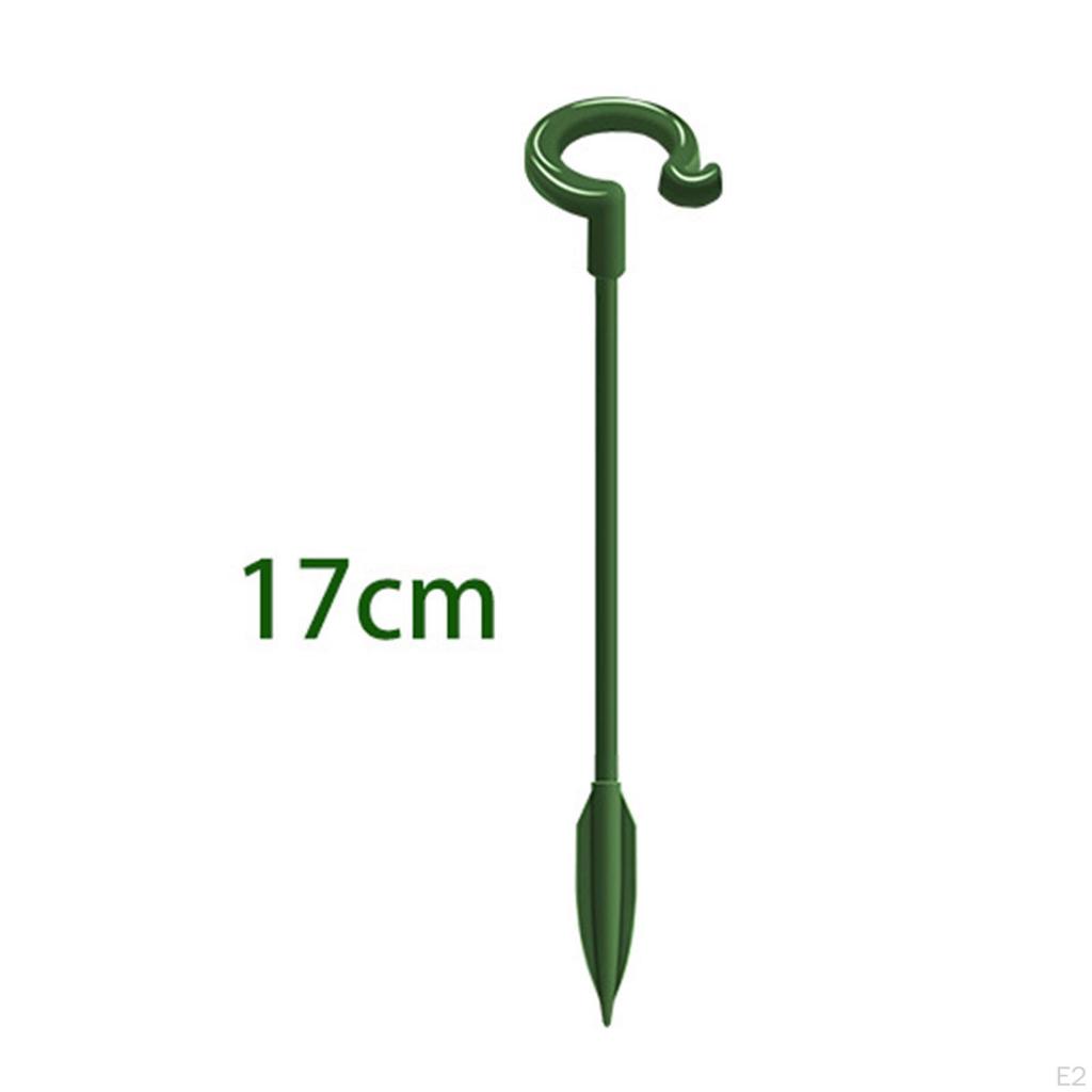 Support Stakes Roses Lilies