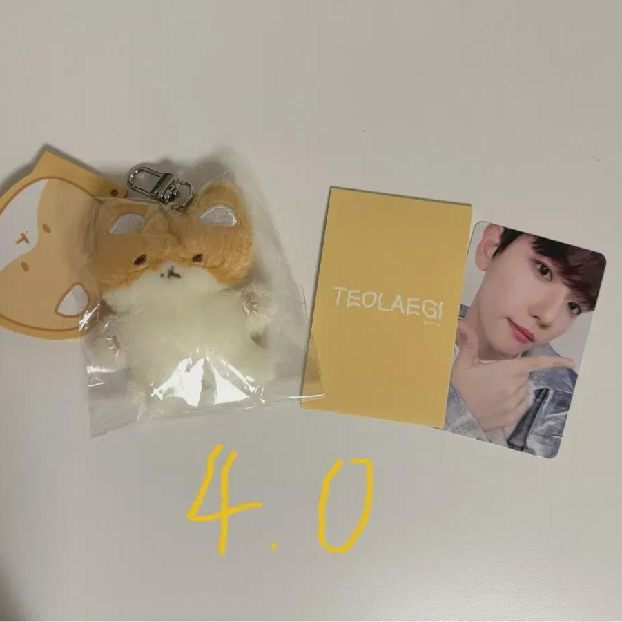 

Брелок Теолаэги