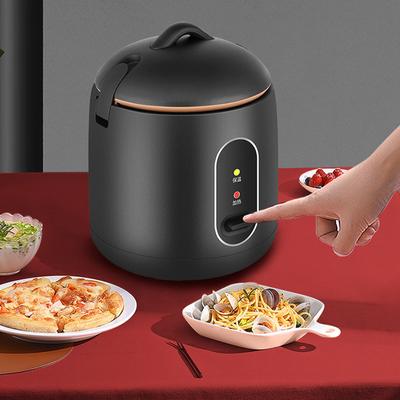 1,2 l Mini-Reiskocher, multifunktional, 200 W Leistung, vollautomatischer tragbarer Reiskocher für Zuhause, Wohnheim, Reisen, 220 V