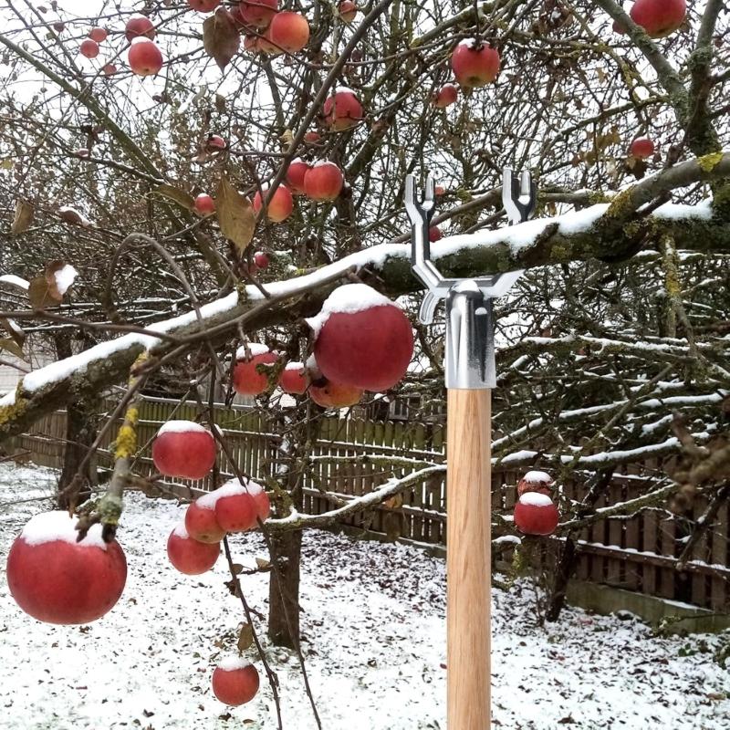 20Pcs Y Branch Support Brackets Metal Rustproof Garden Stake Holders Plant Straightening and Leaning Support