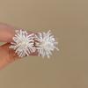 Zircon Fireworks Earrings Light Luxury Premium Temperament Earrings Autumn and Winter Retro Personality Earrings Women