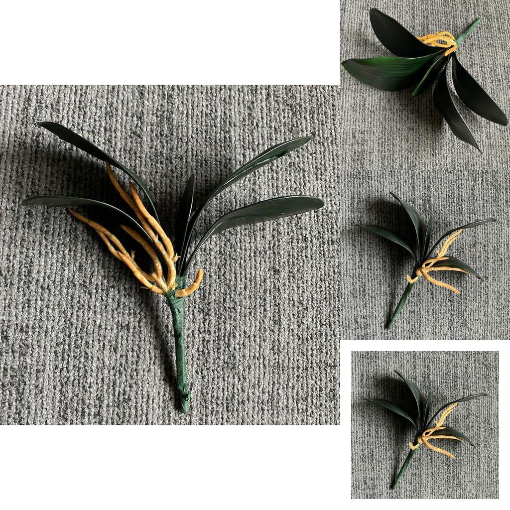 Artificial Eva Phalaenopsis Orchid Leaf For Flower Arrangement And Decor