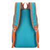 Lightweight Foldable Outdoor Sports Backpack