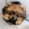 Dog on Black Background  pattern, automatic folding umbrella, portable and foldable design, 8 ribs, a Christmas or birthday gift.