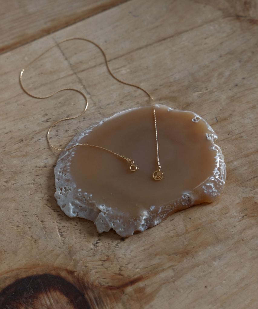 38Comeoncommon Slim Glow Surgical Necklace (Gold)