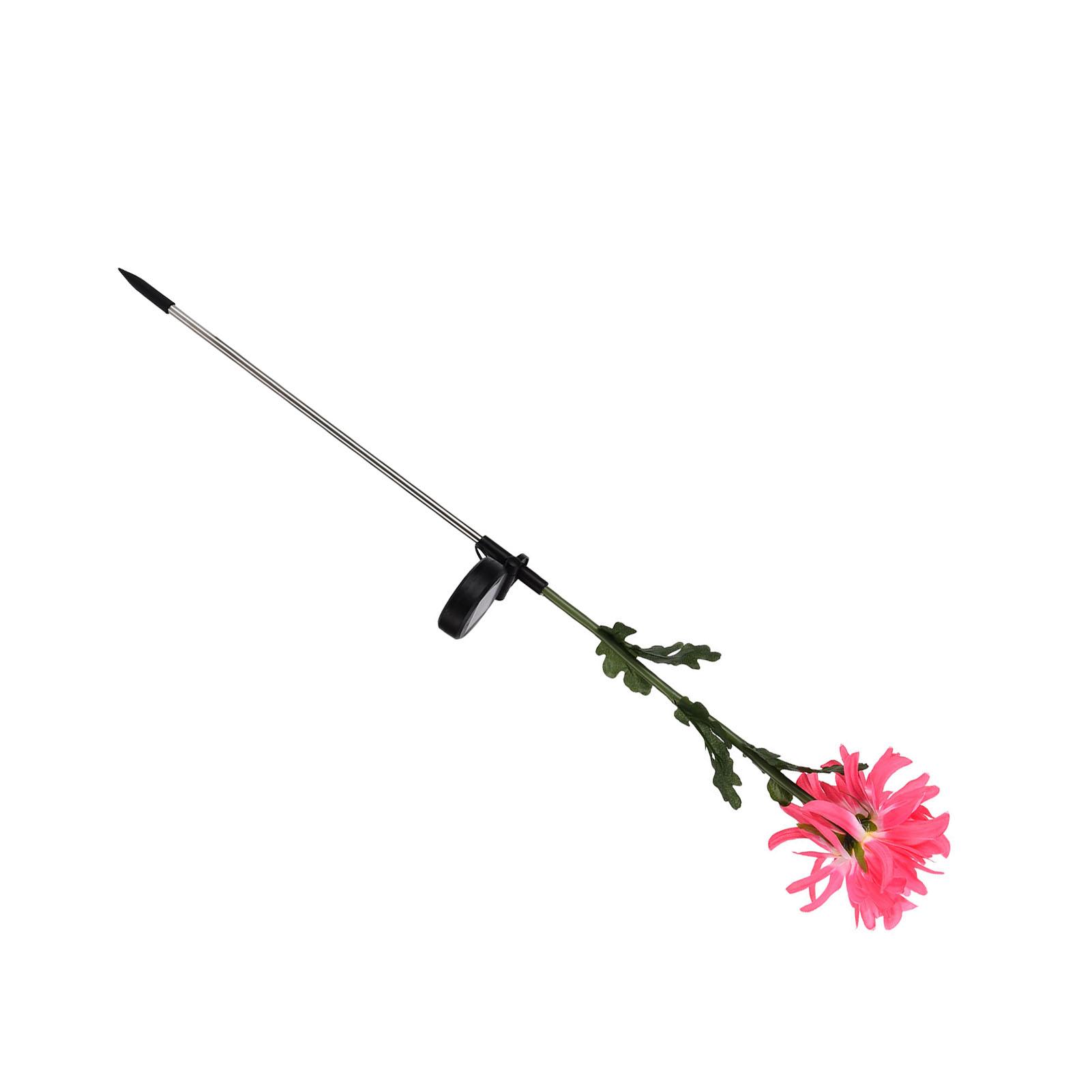 

Solar Garden Decorations Automatic Charging Waterproof LED Solar Decorative Lights