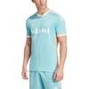 adidas 2024 Inter Miami CF Maglia Autentica Archivio Adidas Menta Chiaro Uomo Streetwear IT6184